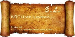 Bálinth Levente névjegykártya